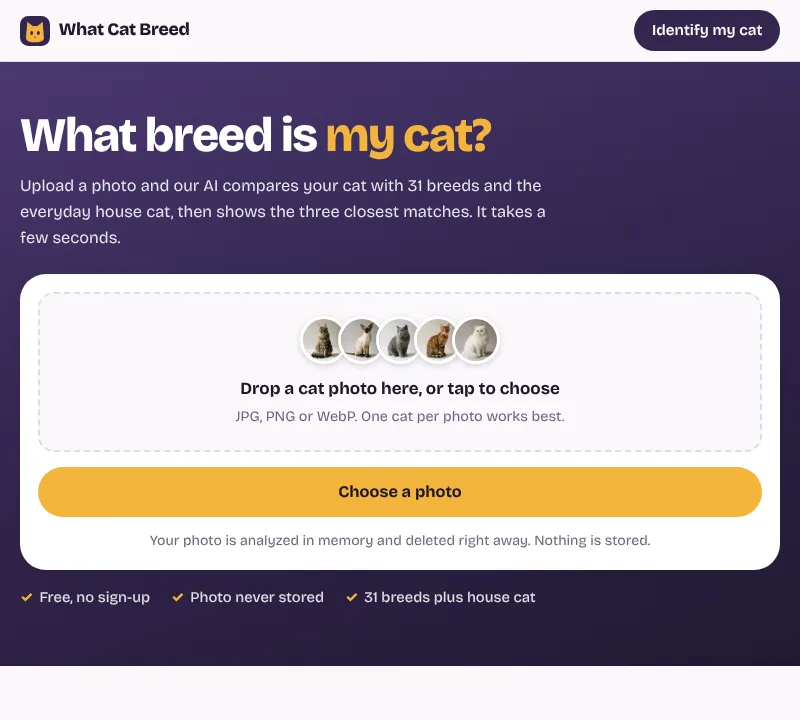 What Cat Breed homepage